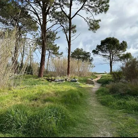Prázdninový dům A Casa Di L'alivu *